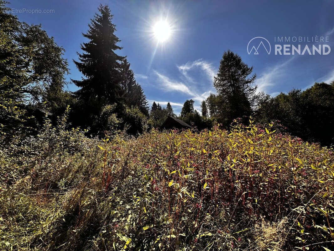Terrain à ARACHES-LA-FRASSE