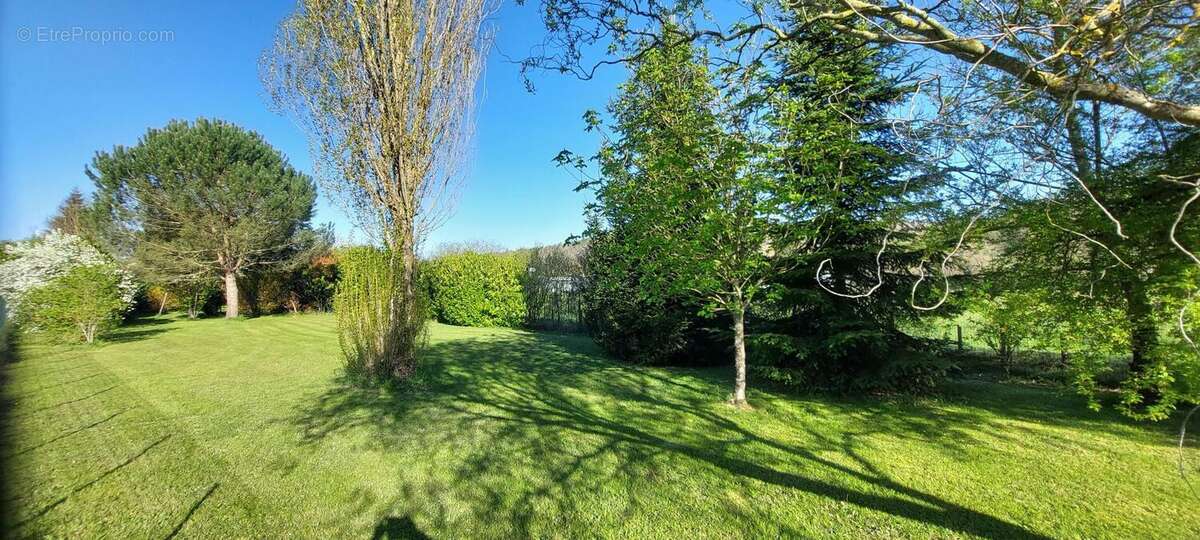 Terrain à COUR-ET-BUIS