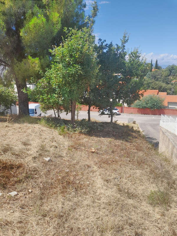 Magnifique terrain de 710 m2 avec vue Mer - photo 5