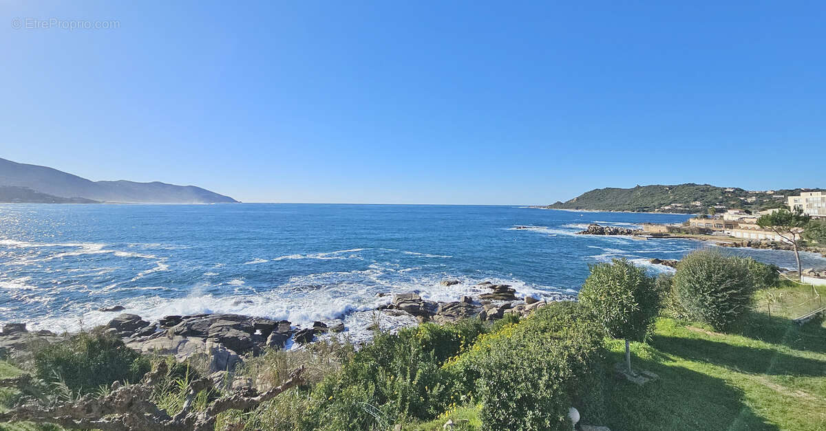 30 minutes d'AJACCIO - Immeuble de 6 appartements pieds dans l'eau - photo 8