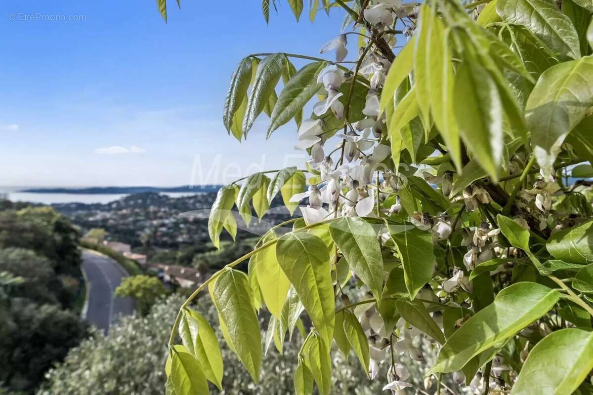 Maison à SAINTE-MAXIME