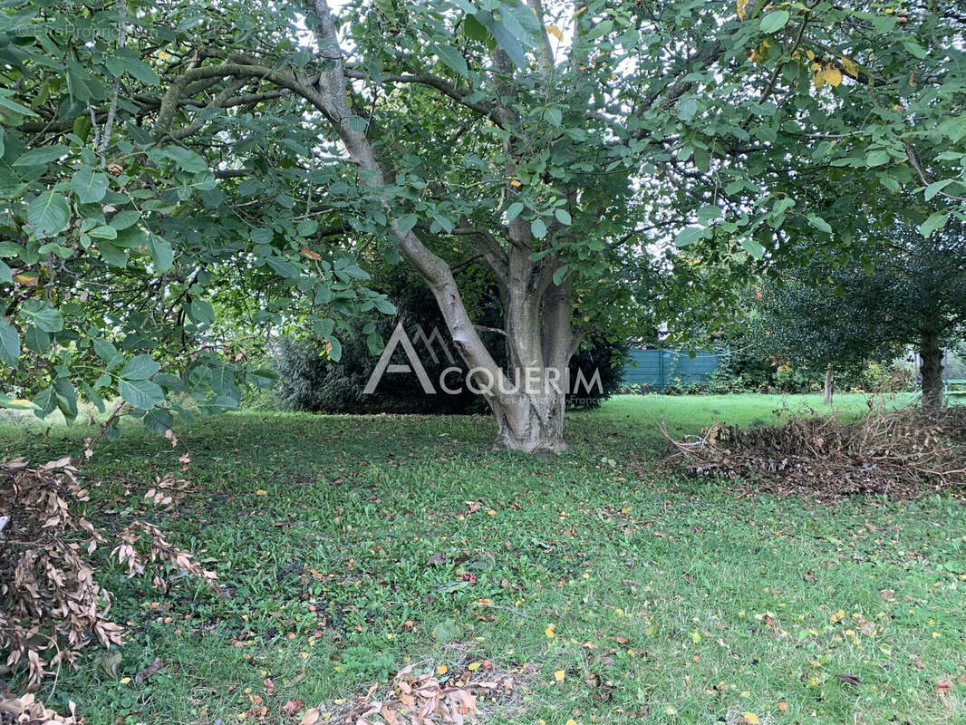 Terrain à OSTRICOURT