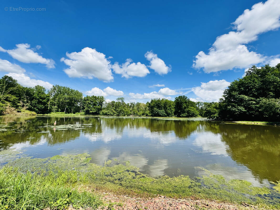Terrain à LA CHAUX-EN-BRESSE