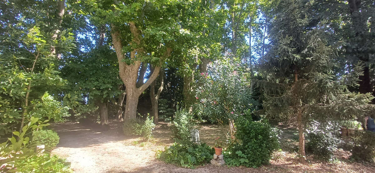 Maison à PIERRELATTE