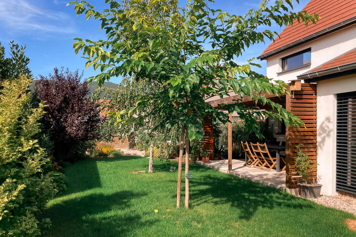 Maison à WETTOLSHEIM