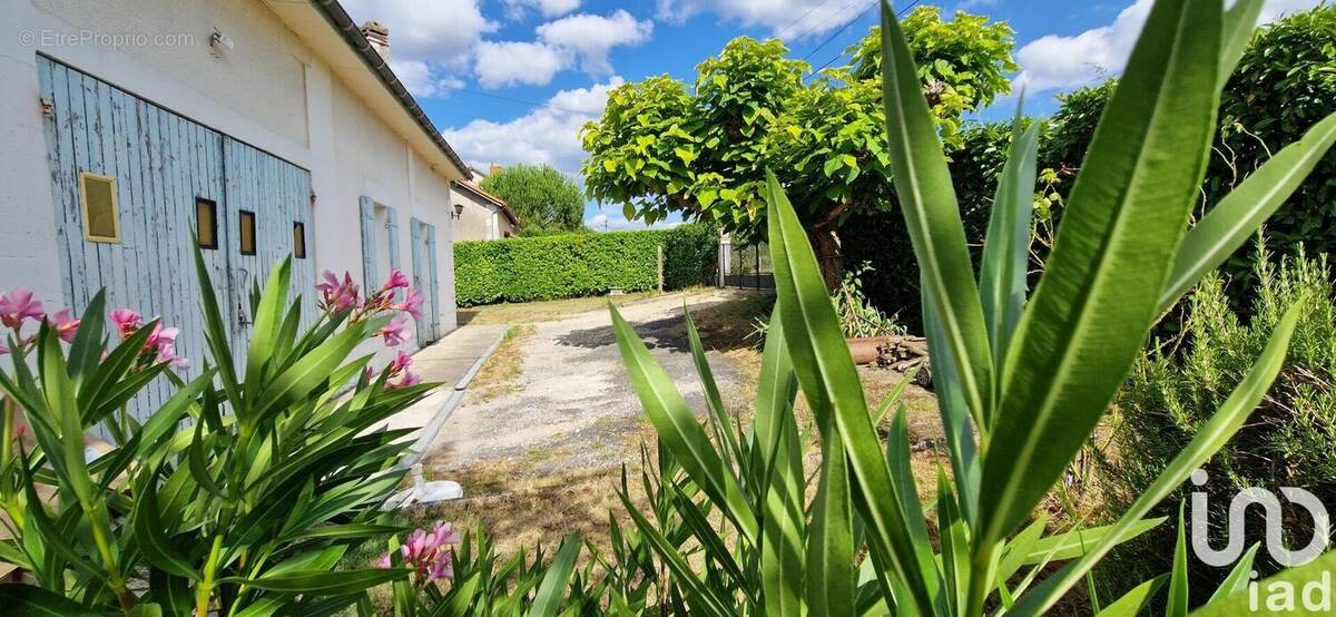 Photo 1 - Maison à SAINT-MEDARD-DE-MUSSIDAN