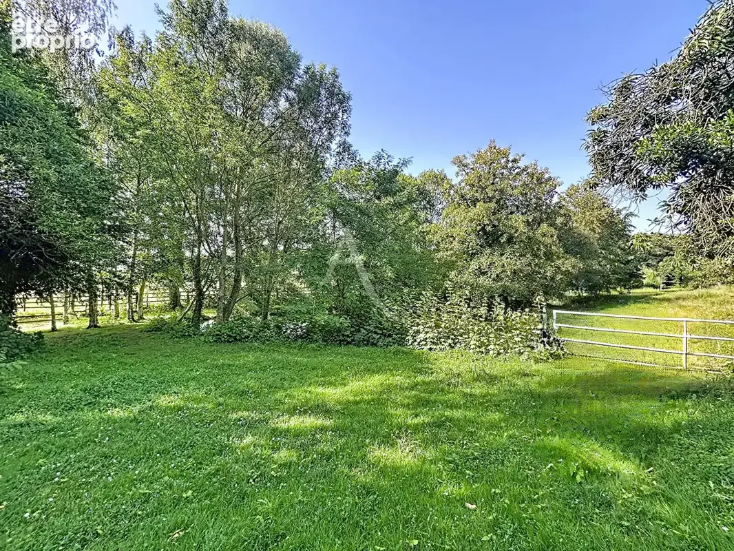 Terrain Loigne Sur Mayenne 23946 m2 - photo 17