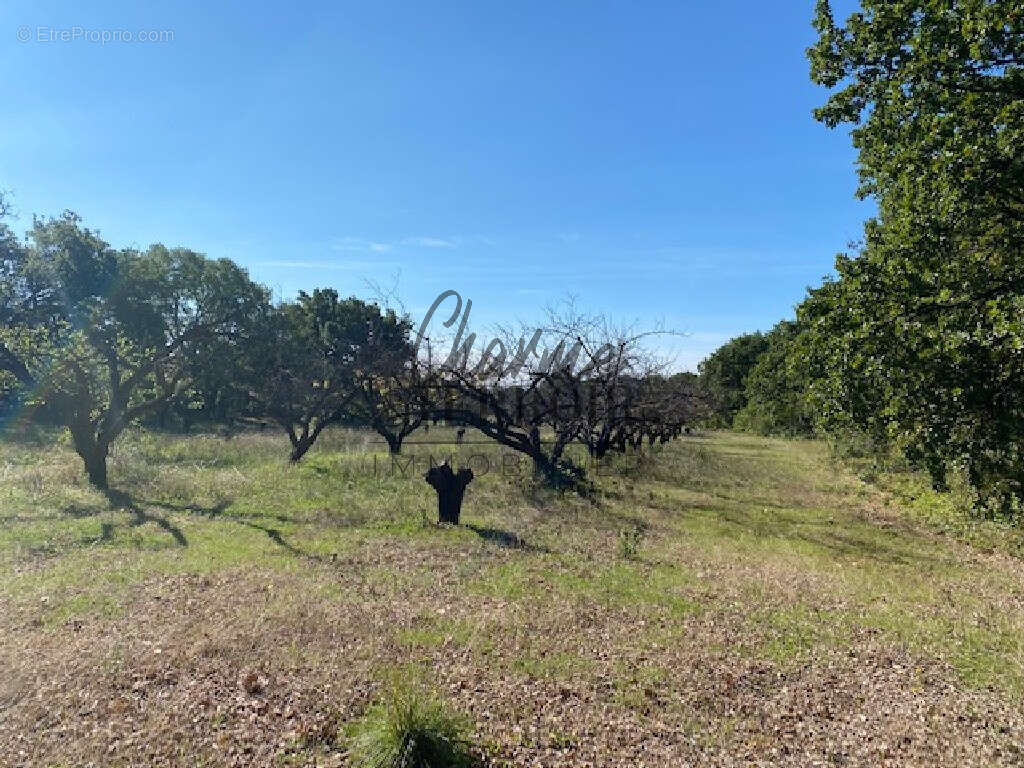 Terrain à UZES