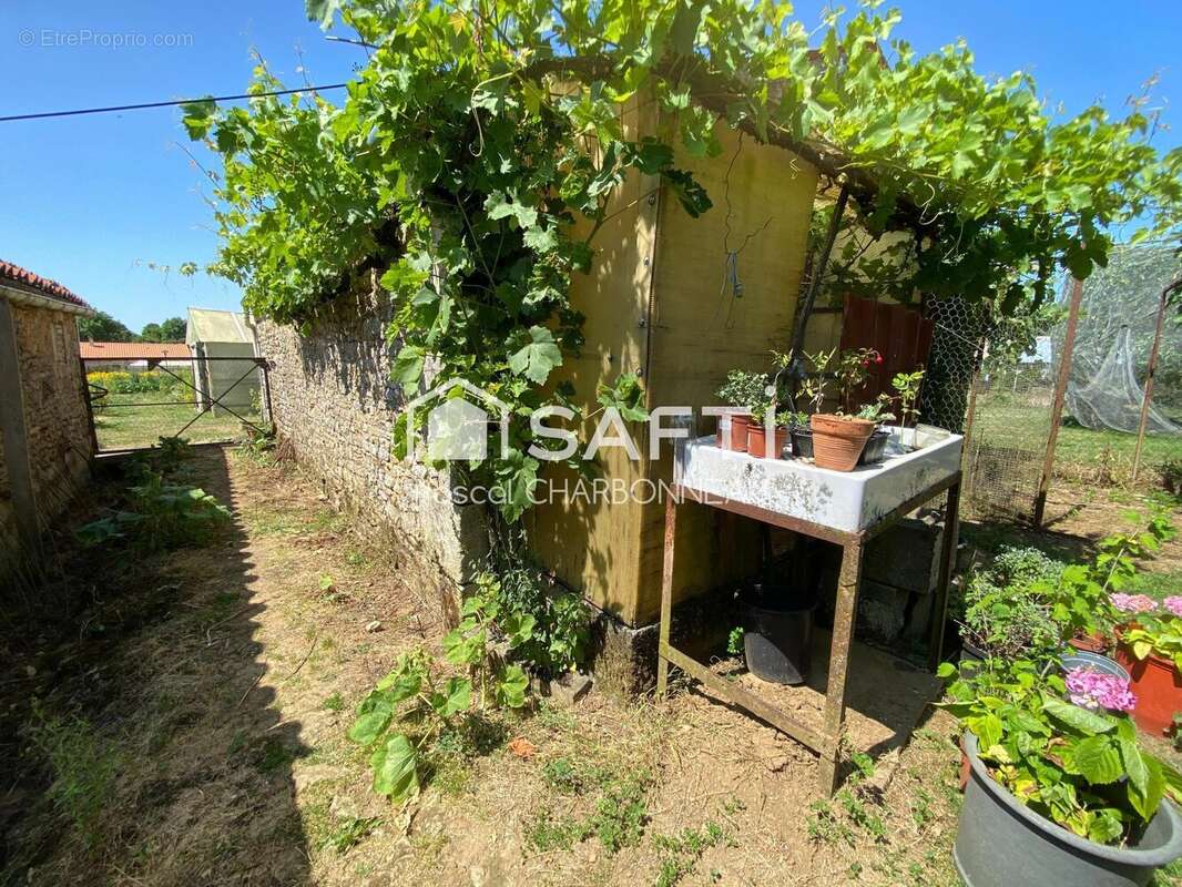 Photo 9 - Maison à FONTENAY-LE-COMTE