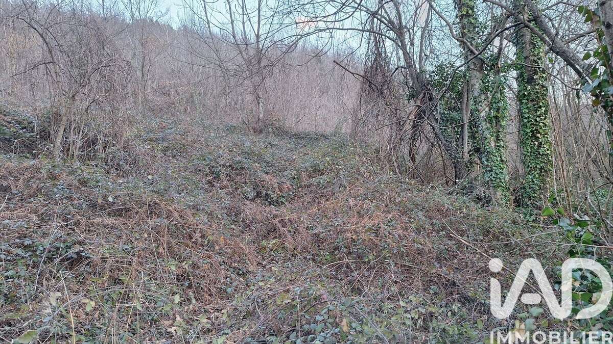 Photo 5 - Terrain à PRATS-DE-MOLLO-LA-PRESTE