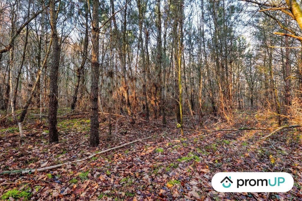 Terrain à CHATILLON-SUR-CHER