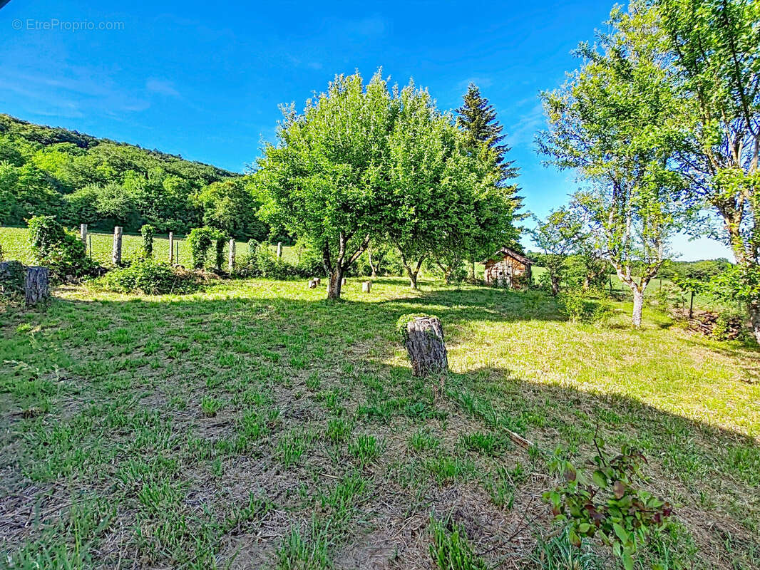 Terrain à LOUPMONT