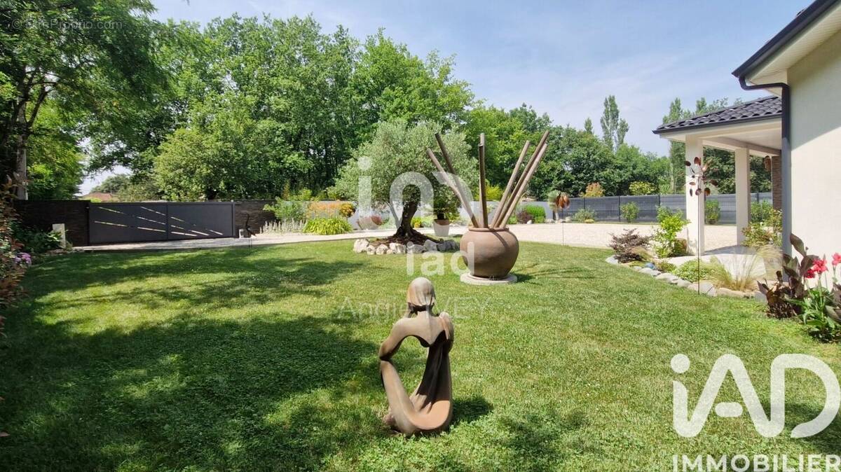 Photo 1 - Maison à MONTAUBAN