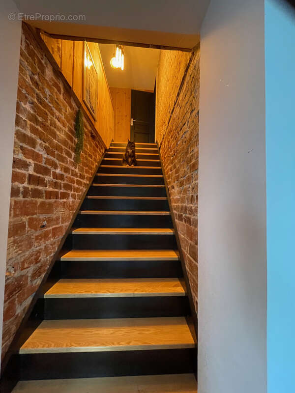 Maison à LA FERTE-GAUCHER