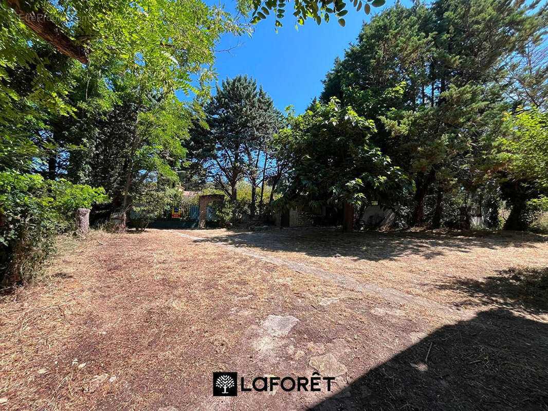 LE CASTELET ? Authentique Bastide du XVIIIe Siècle au Coeur des Vignes et des Oliviers terrain 6000 m² - photo 15
