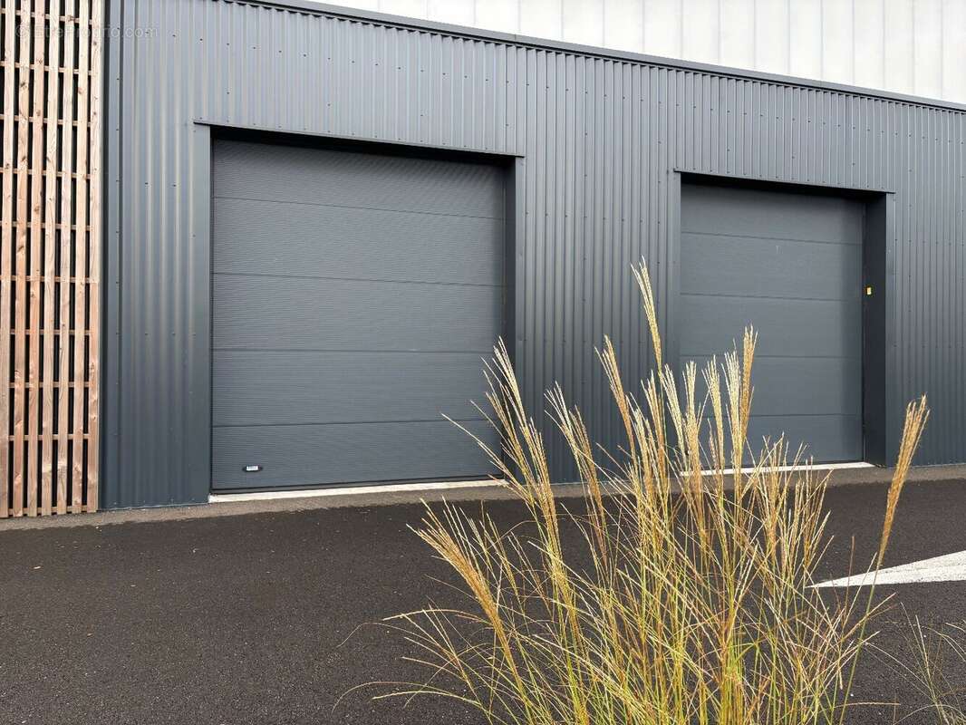 Commerce à SAINT-GEOURS-DE-MAREMNE