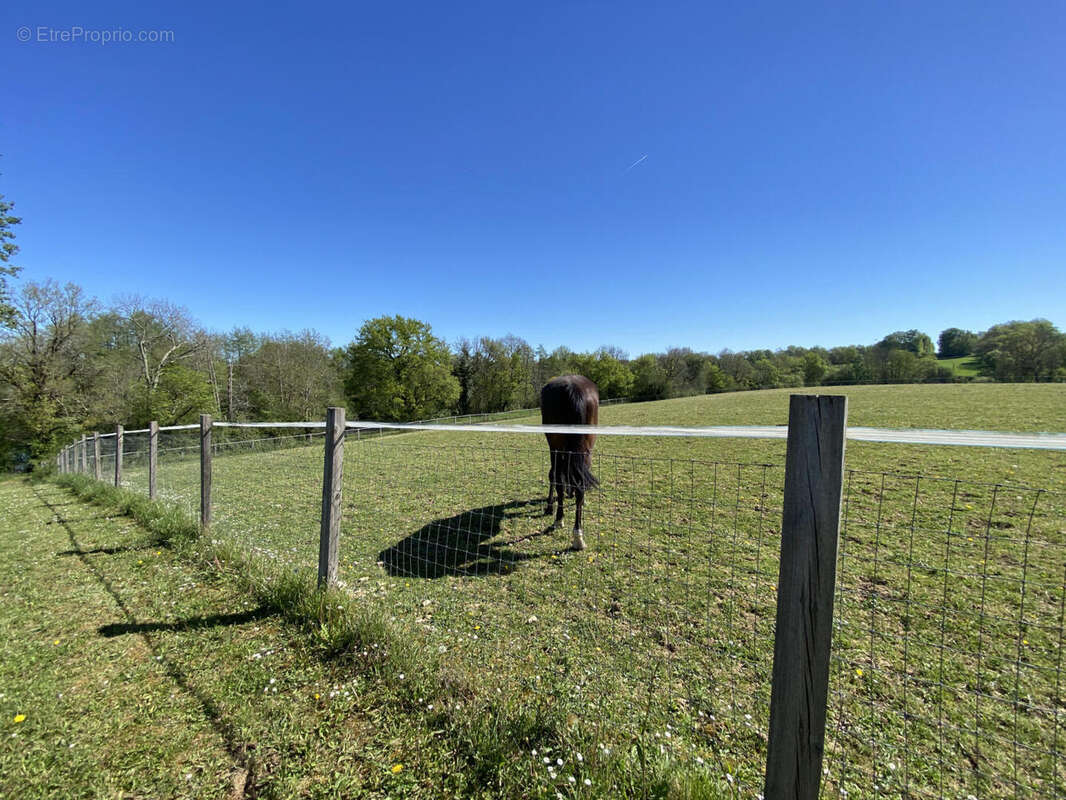 land - Maison à SAINT-PRIVAT-DES-PRES