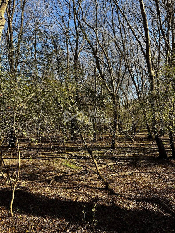 Terrain à BRAS