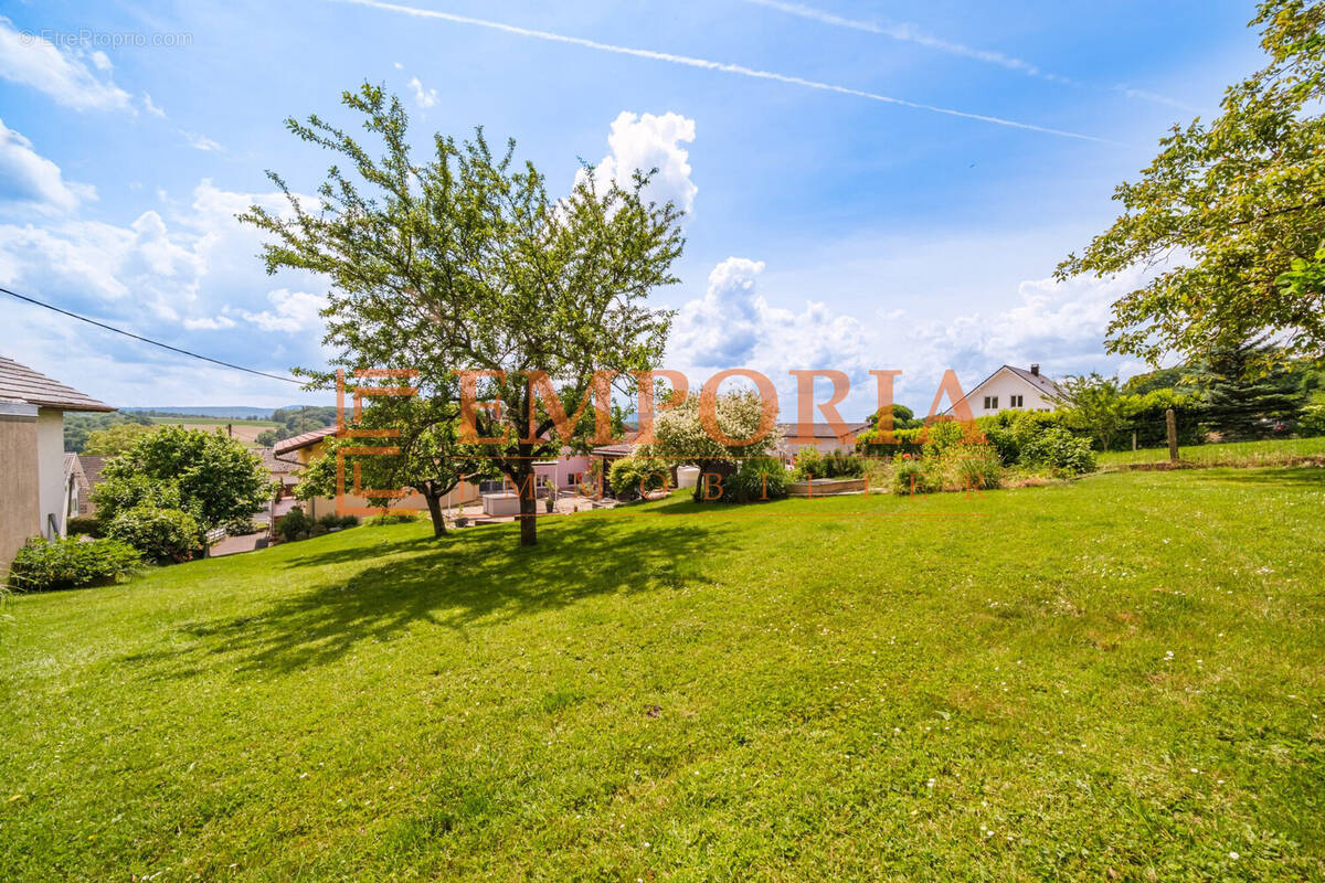 Maison à STEINSOULTZ