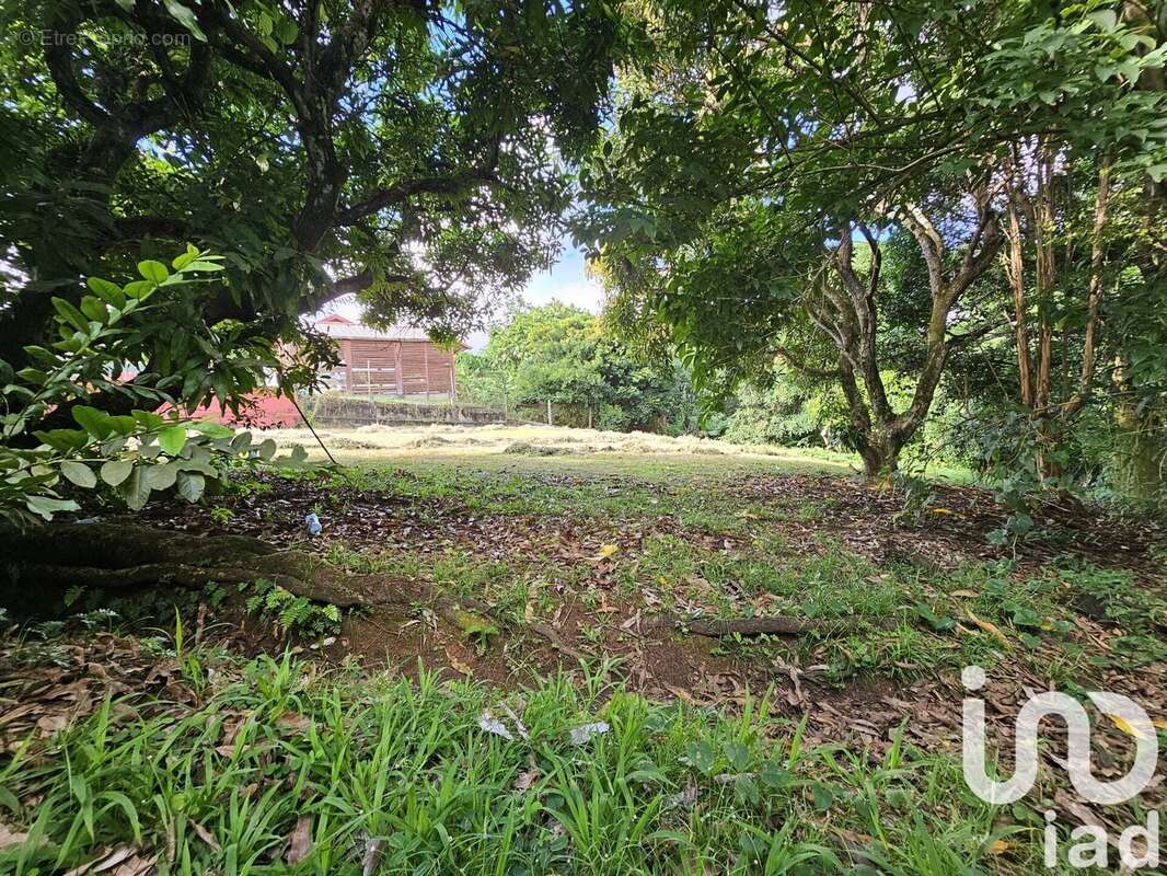 Photo 2 - Terrain à LE LAMENTIN