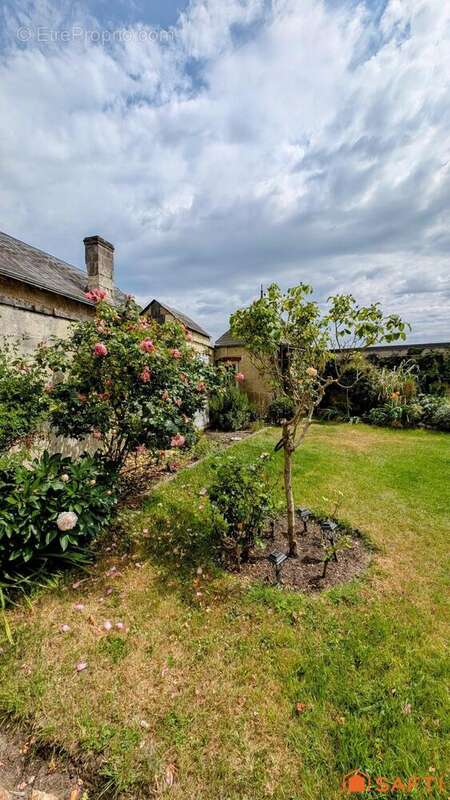 Photo 3 - Maison à BOURGUEIL
