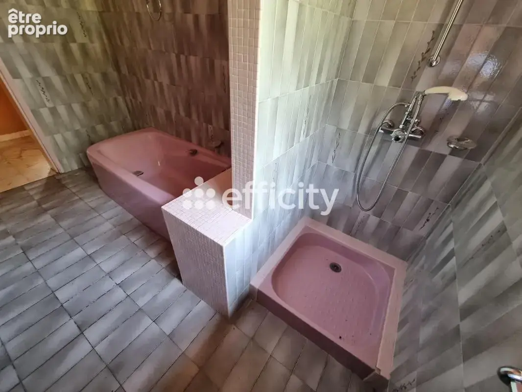 Maison 272 m² à Le Malzieu-Ville  - photo 14