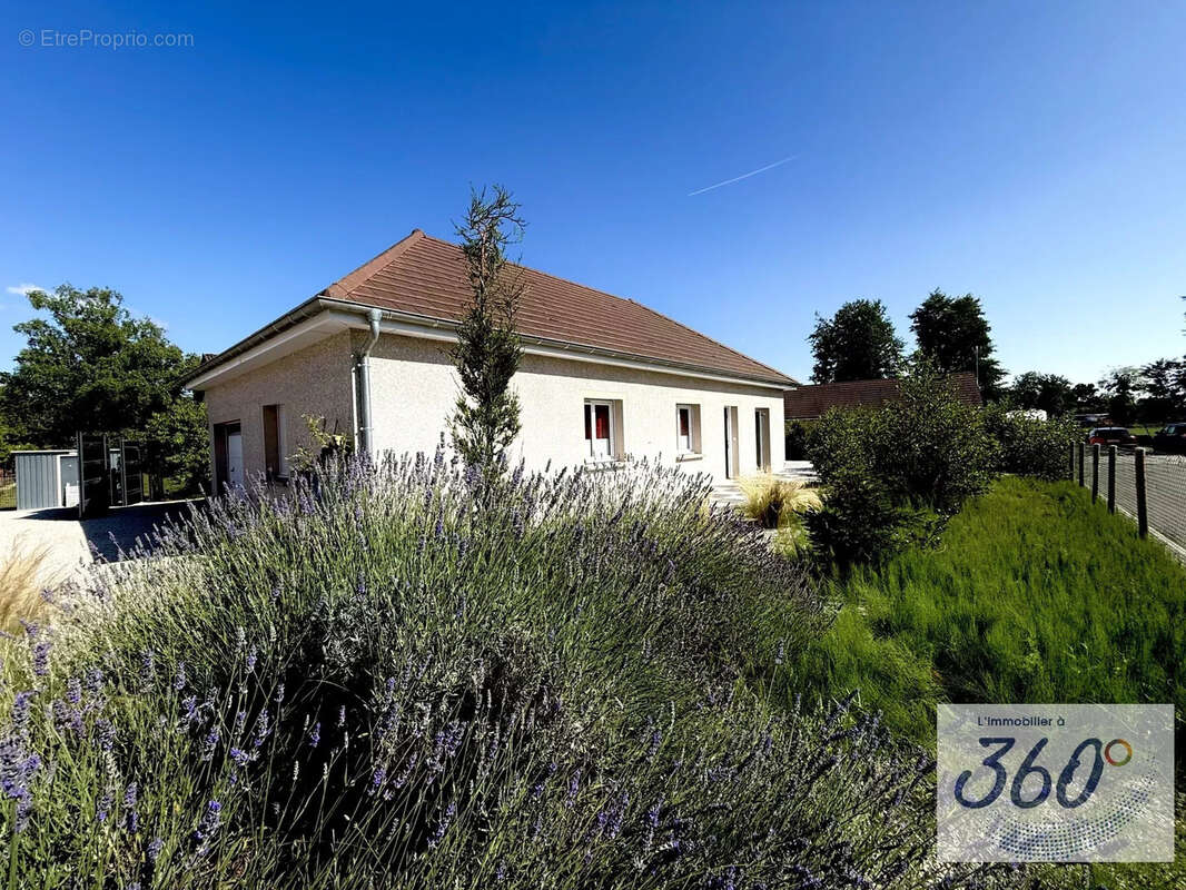 Maison à LOUHANS