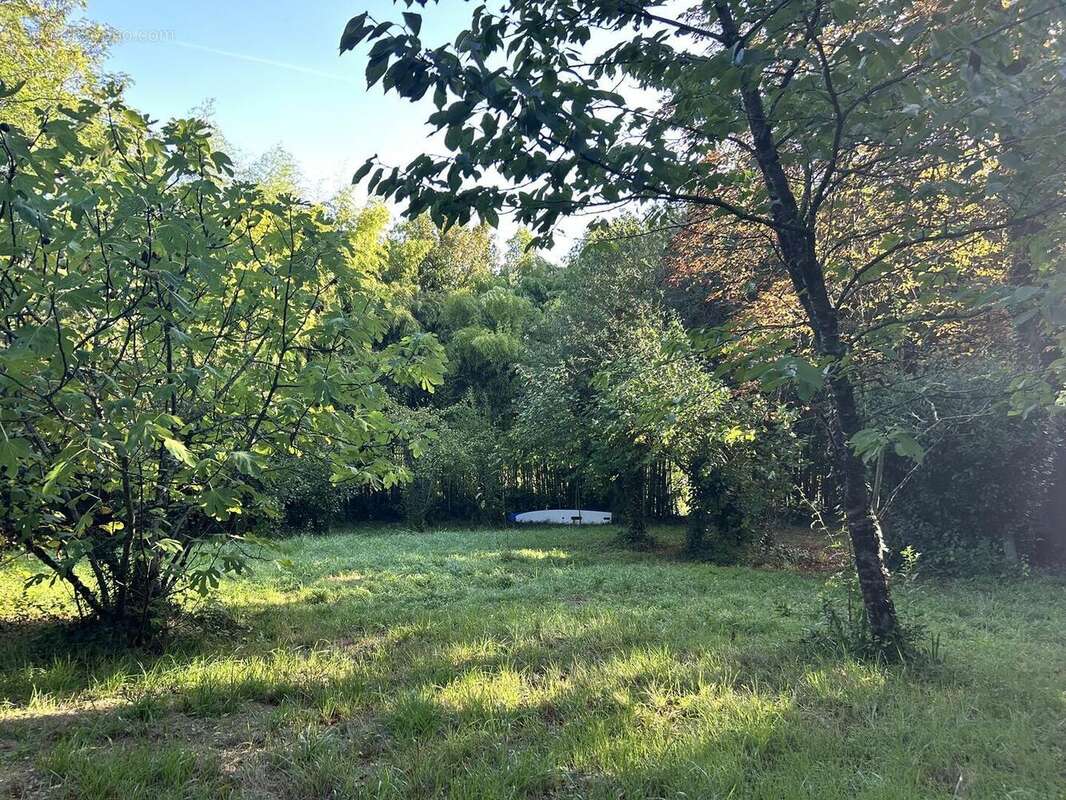 IMG2311 - Terrain à NIORT