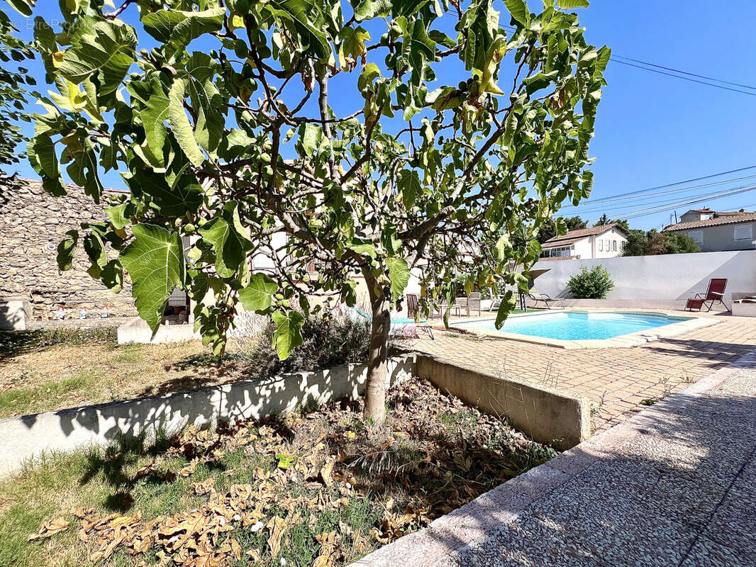 13013 MARSEILLE / Les Olives : Maison 3/4 pièces + studio indépendant sur 434m2 de terrain avec piscine. - photo 2