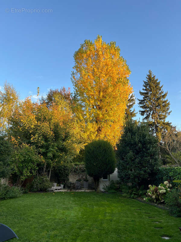 Maison à MONTFORT-L'AMAURY