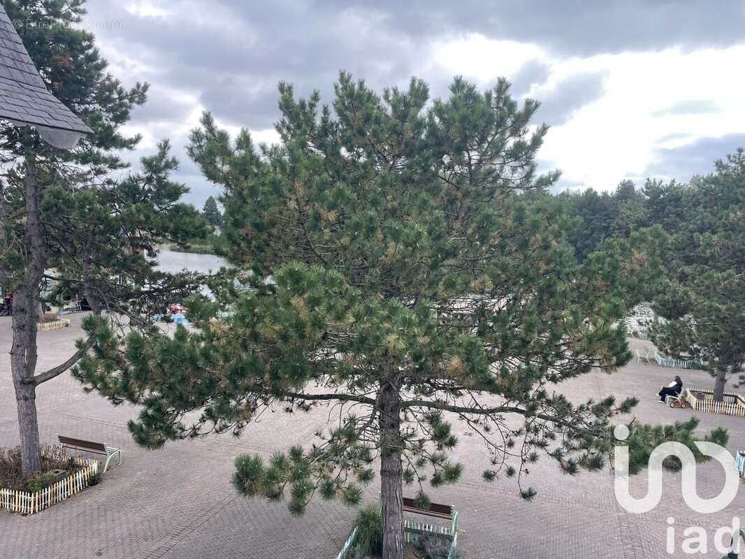 Photo 8 - Appartement à FORT-MAHON-PLAGE