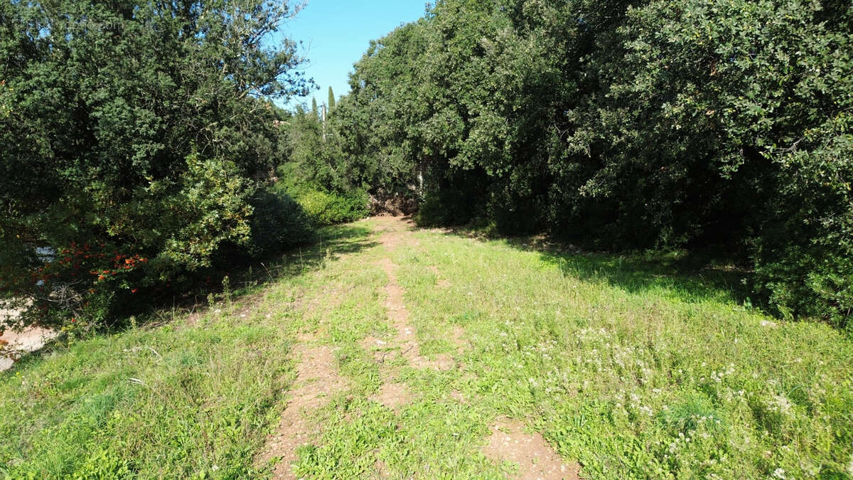 Terrain à PUECHABON