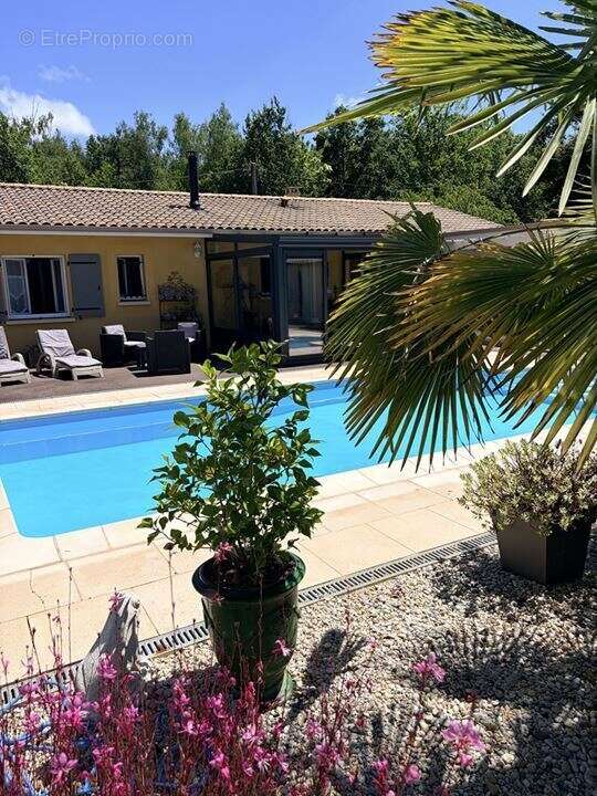 Maison 135 m² à Grayan-Et-L'hopital  - photo 9