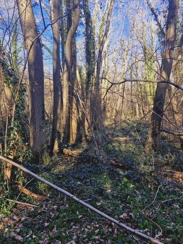 Terrain à RONQUEROLLES