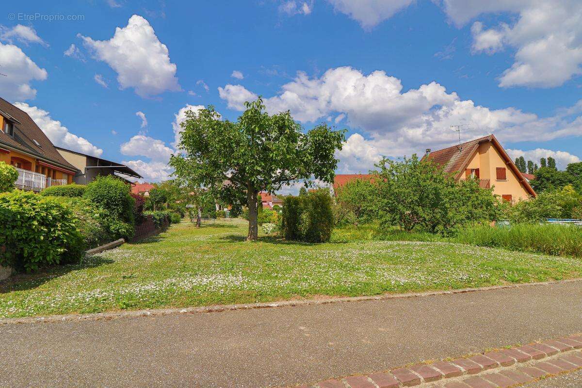 Terrain à HATTSTATT