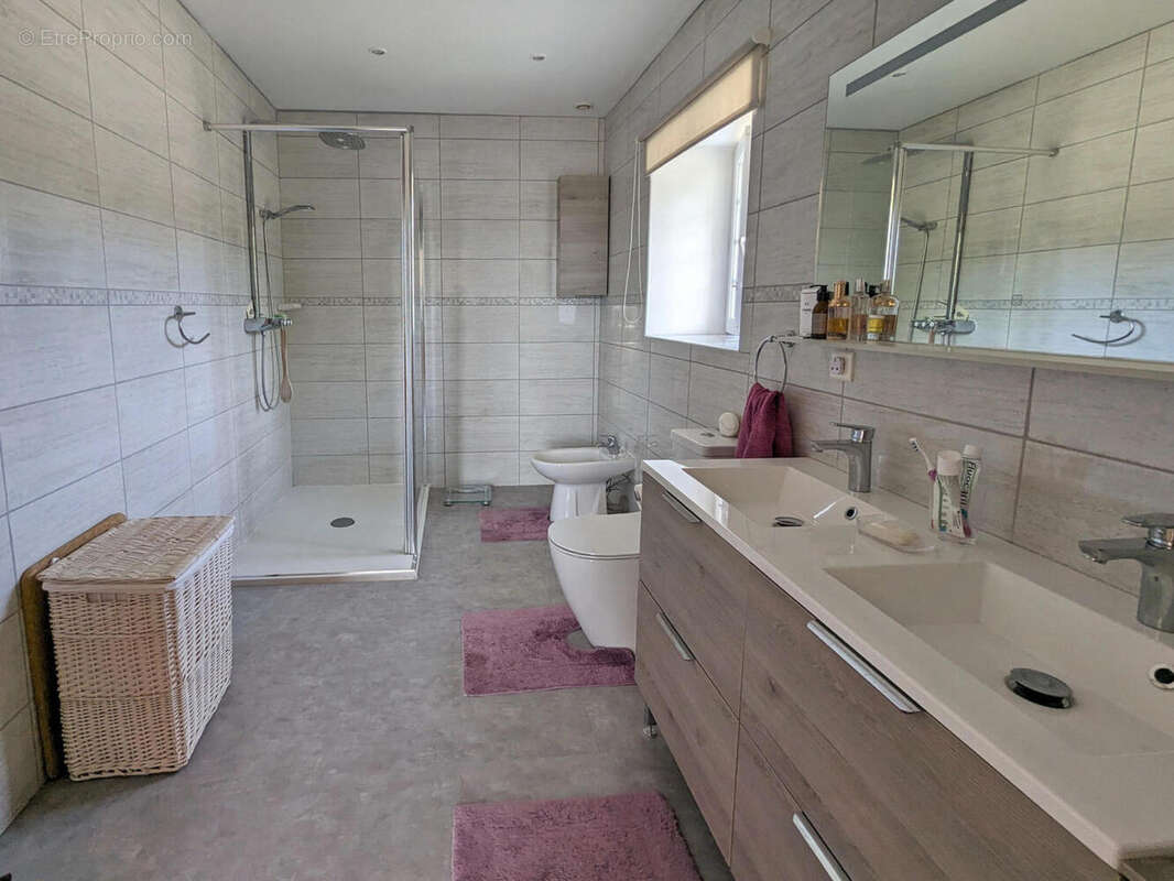 Maison de Maitre à vendre - Vienne - Maison à ROMAGNE