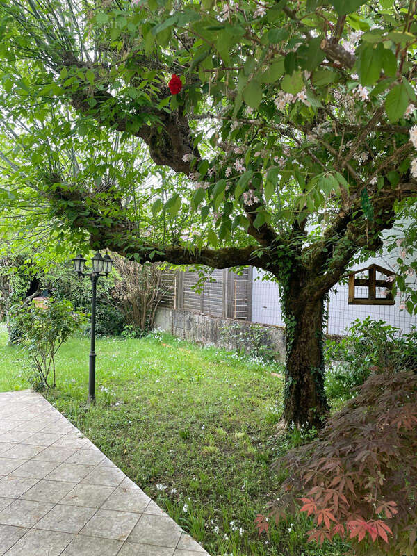 Maison à LE BOUSCAT