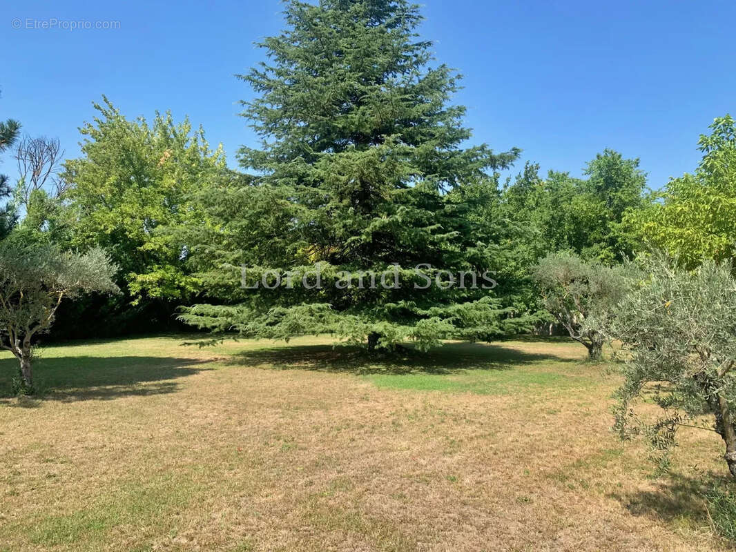 Maison à CARPENTRAS