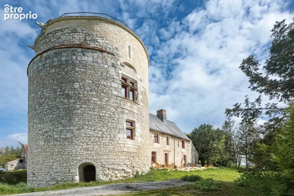 Maison 15 pièces 670 m² à vendre à Vou (37240) - photo 5