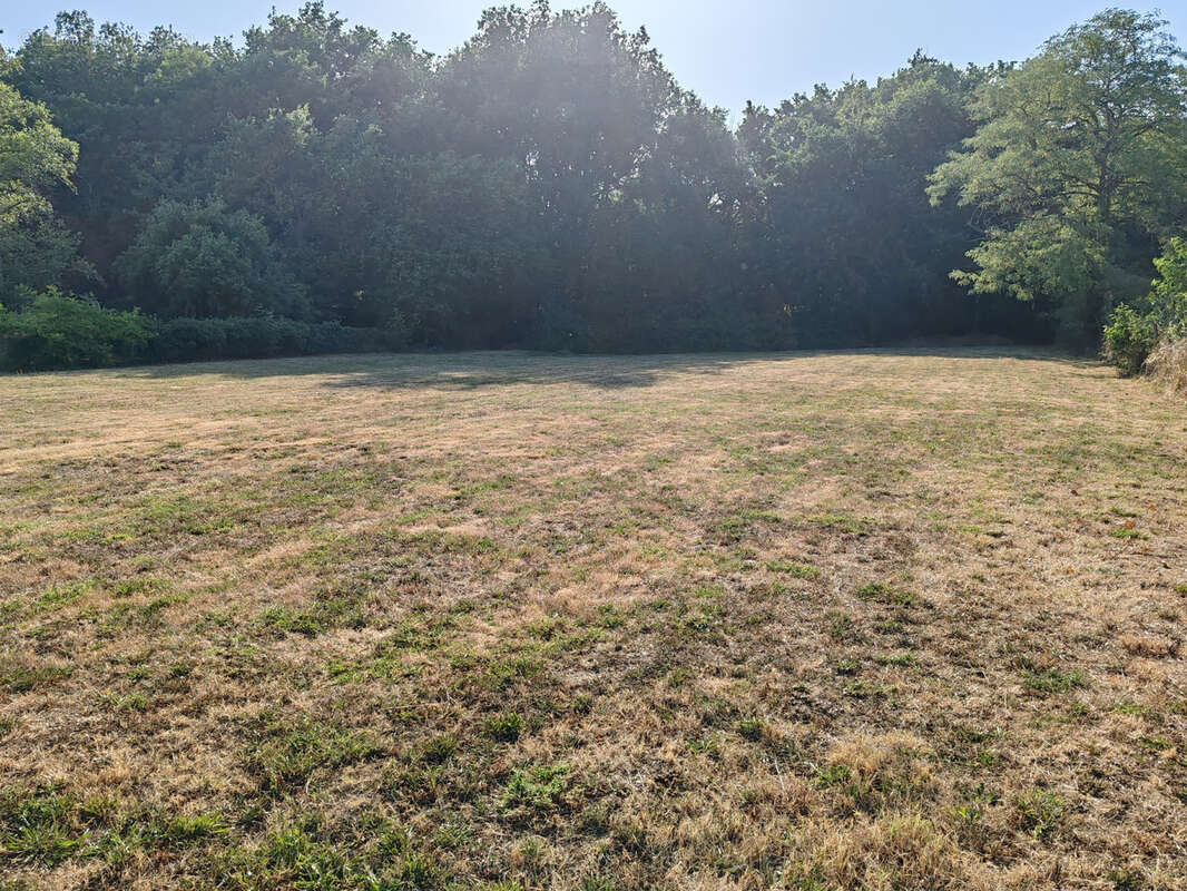 Cambernard - Terrain viabilisé à vendre de 2099m2 - photo 2