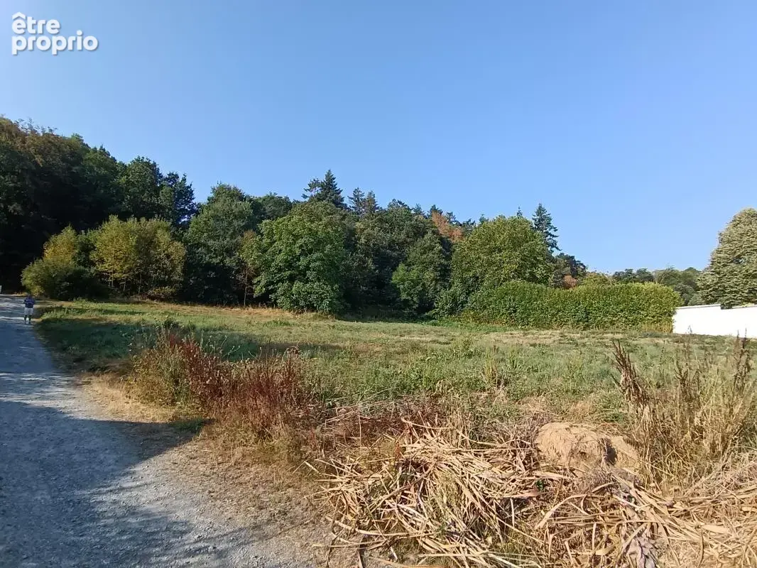 Grand terrain de plus de 3 000 m2 avec vue sur le château de Josselin (Morbihan - Bretagne) - photo 4
