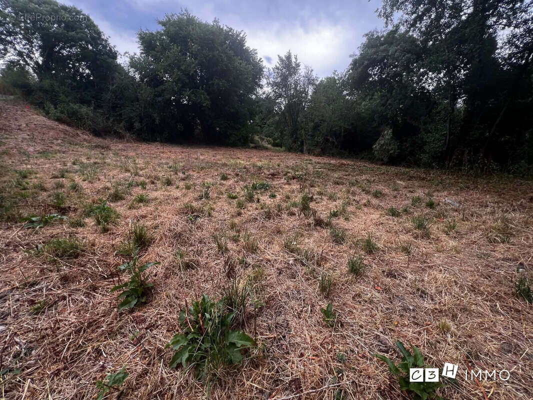 Terrain 1273 m² à Lavernose-Lacasse  - photo 2