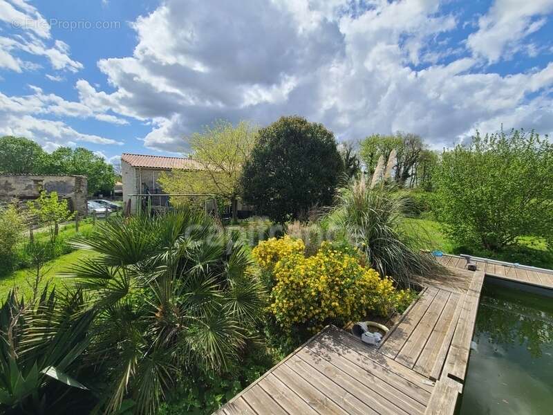 Maison charentaise LA BROUSSE proche Matha (17) - photo 11