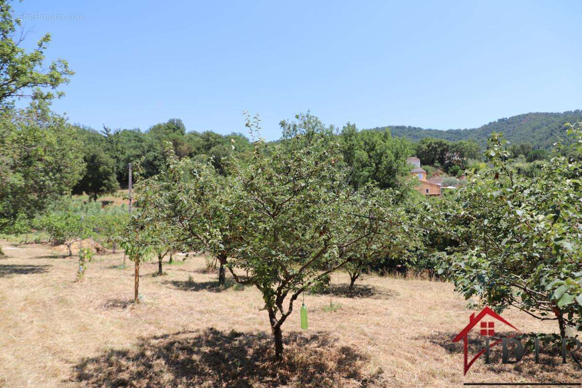 Terrain à Bâtir - Collobrières - libre constructeur - photo 4