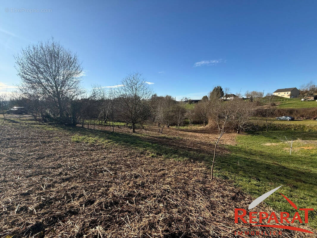 Terrain à SAINT-HILAIRE-PEYROUX