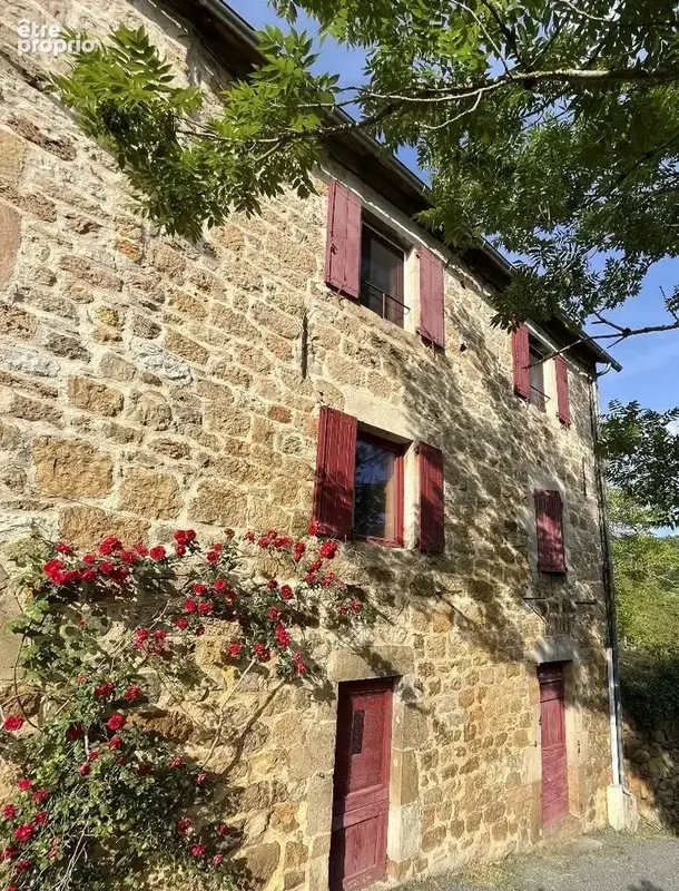 Salles-la-source - la magnifique : maison de village avec vue incroyable! - photo 5