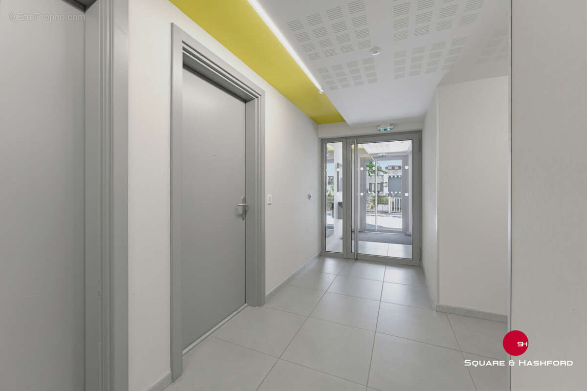 T2 bordeaux ginko - photo 9