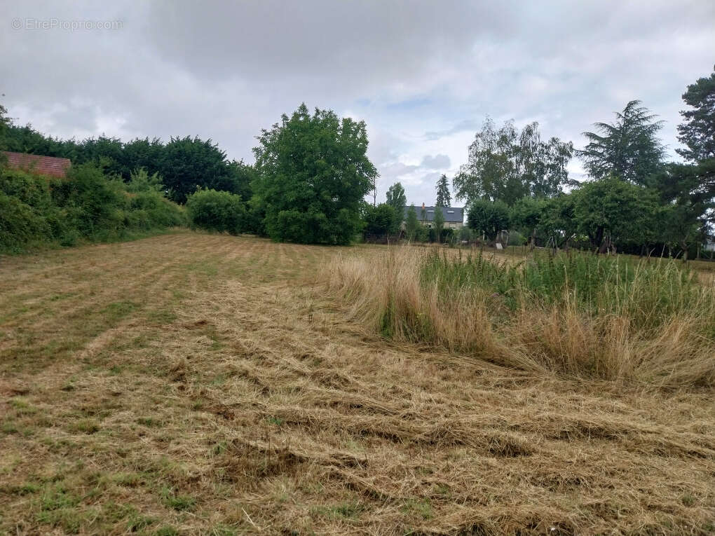 Terrain constructible a vendre  saint saturnin - photo 2