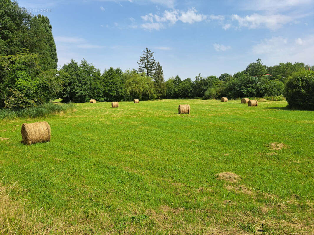 Terrain à SAINT-CALAIS