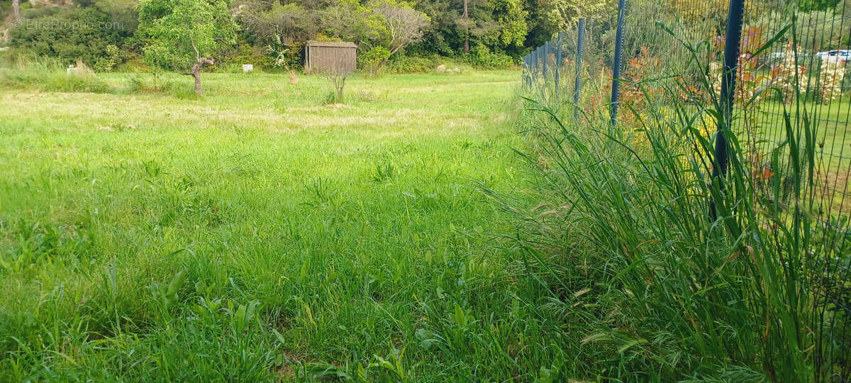 EXCLUSIVITE Terrain à vendre sur la commune de Guzargues - photo 2